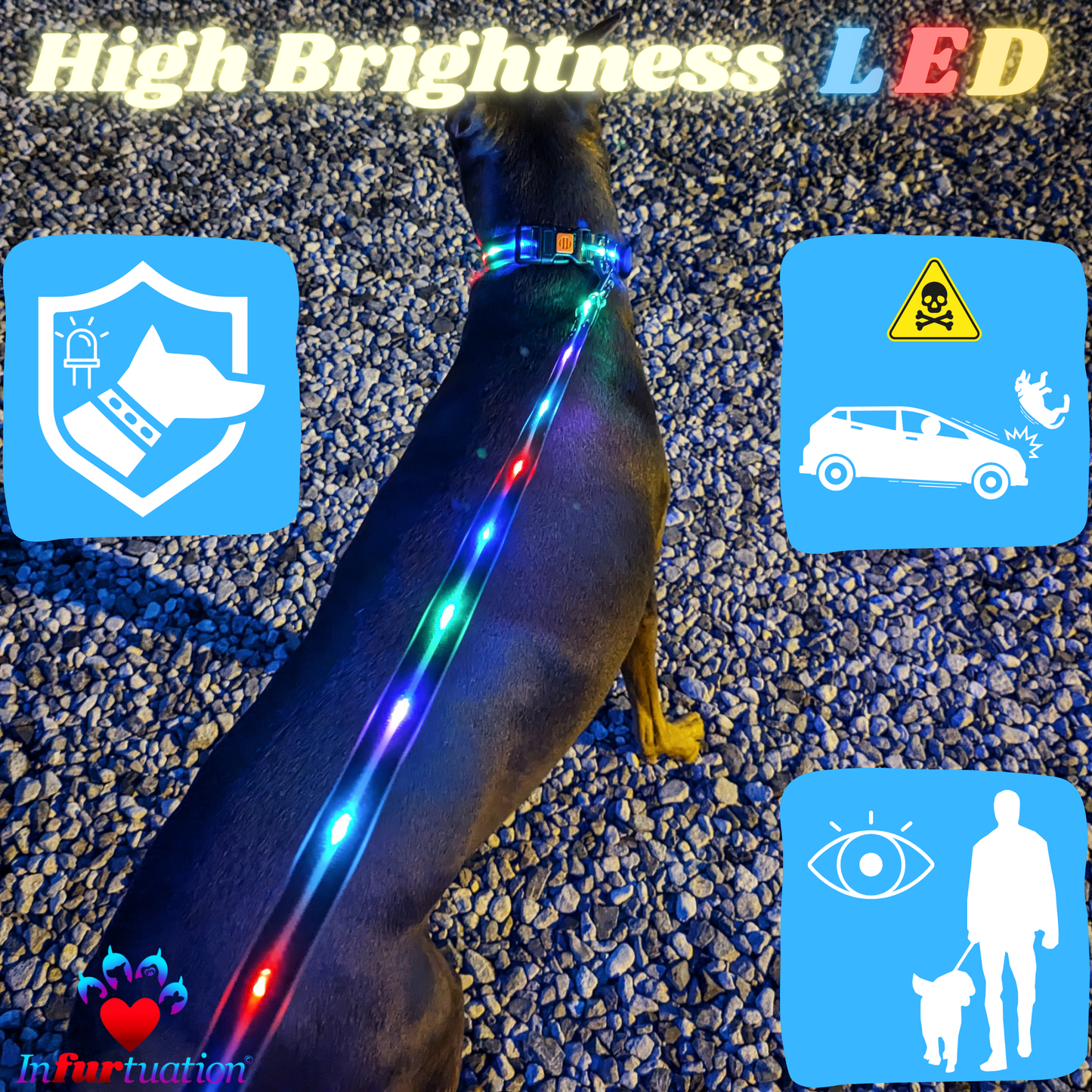 Infurtation's Night Safety Leash and Collar set