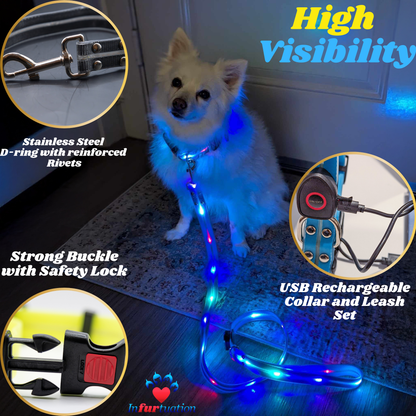 Infurtation's Night Safety Leash and Collar set