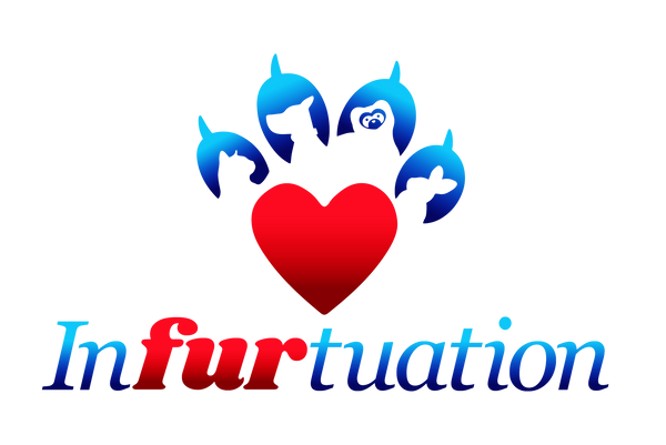 Infurtuation 