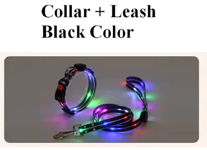 Infurtation's Night Safety Leash and Collar set